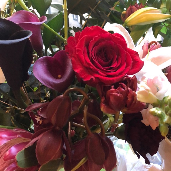 Meet your Posher, Julianne - Picture 1 of 2